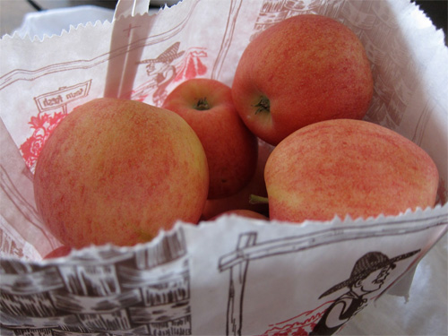 Crock Pot Applesauce