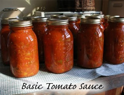 Basic Tomato Sauce