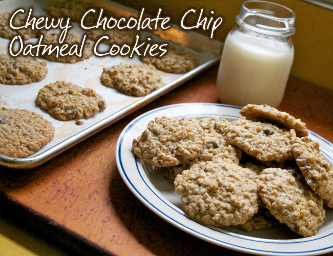 Chewy Chocolate Chip Oatmeal Cookies