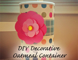 DIY Decorative Oatmeal Container