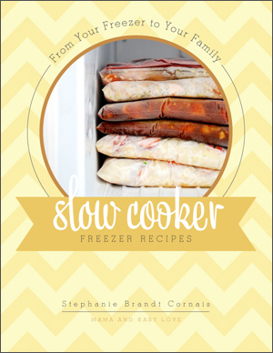 From Your Freezer To Your Family, Slow Cooker Freezer Recipes