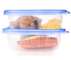 Our 6 Favorite Meal Taking Containers